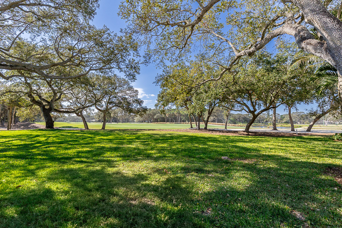 253 Silver Moss Drive 33
