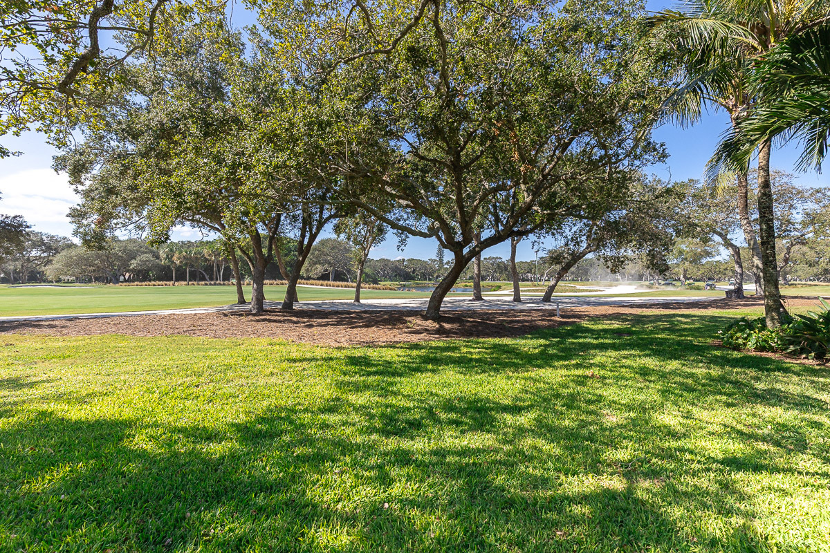 253 Silver Moss Drive 34