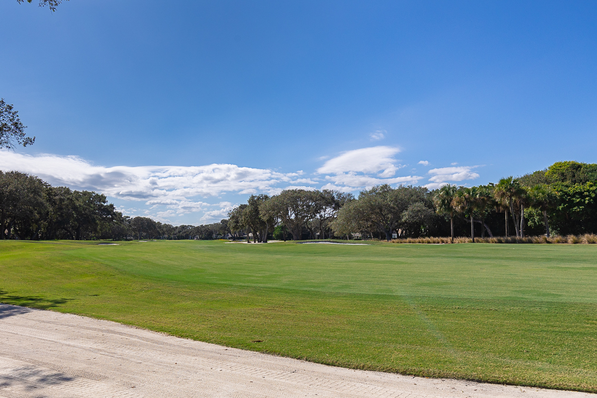 253 Silver Moss Drive 35