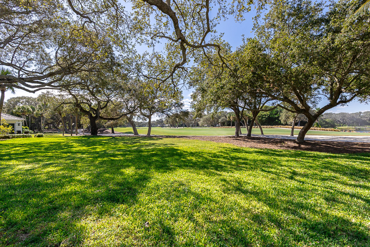253 Silver Moss Drive 38