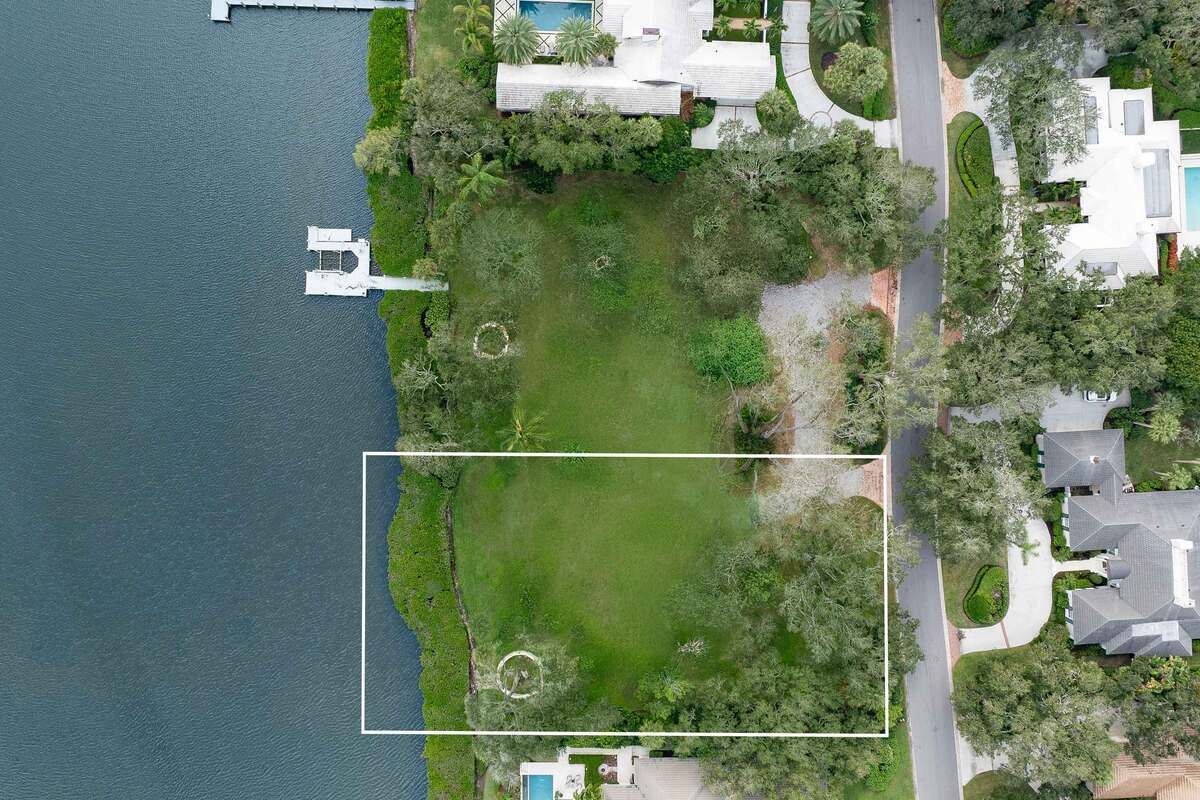 570 Coconut Palm Aerials Line 2