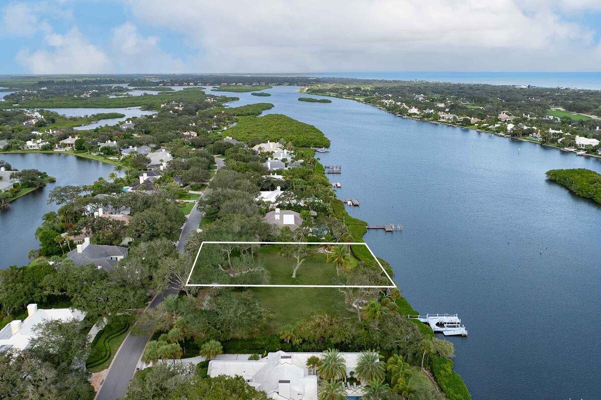 570 Coconut Palm Aerials Line 7