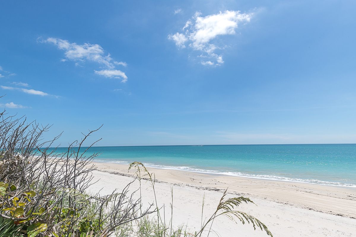 672 Ocean Rd 5